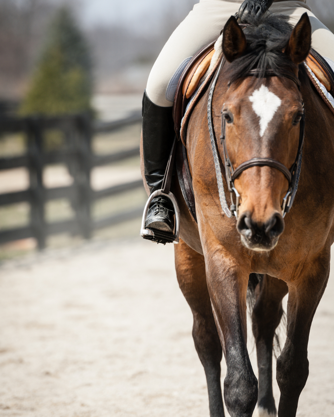 Richtiges Training bei Arthrose: Bewegung als Therapie