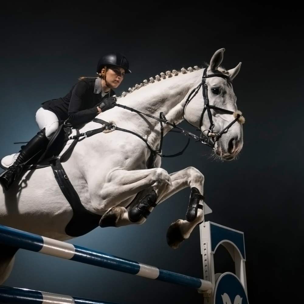 Magengeschwüre beim Pferd: Ursachen & Symptome