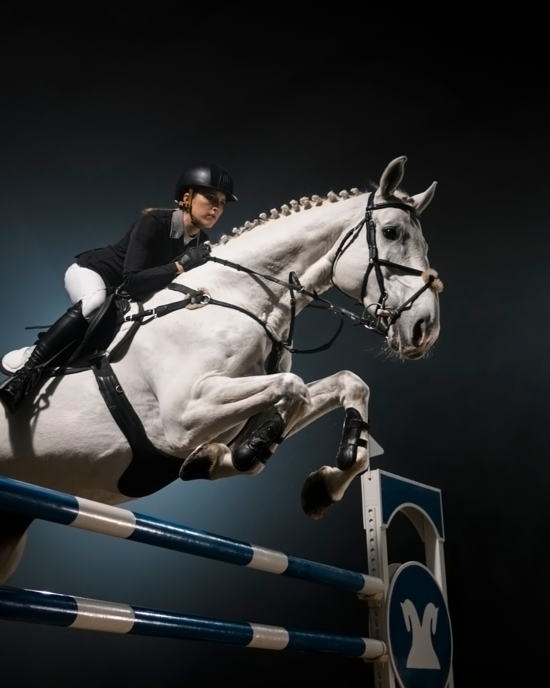 Pferd über einem Sprung