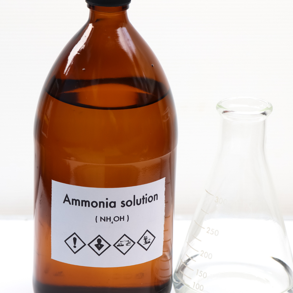 Stallluft & Heu: Die unsichtbaren Atemwegskiller