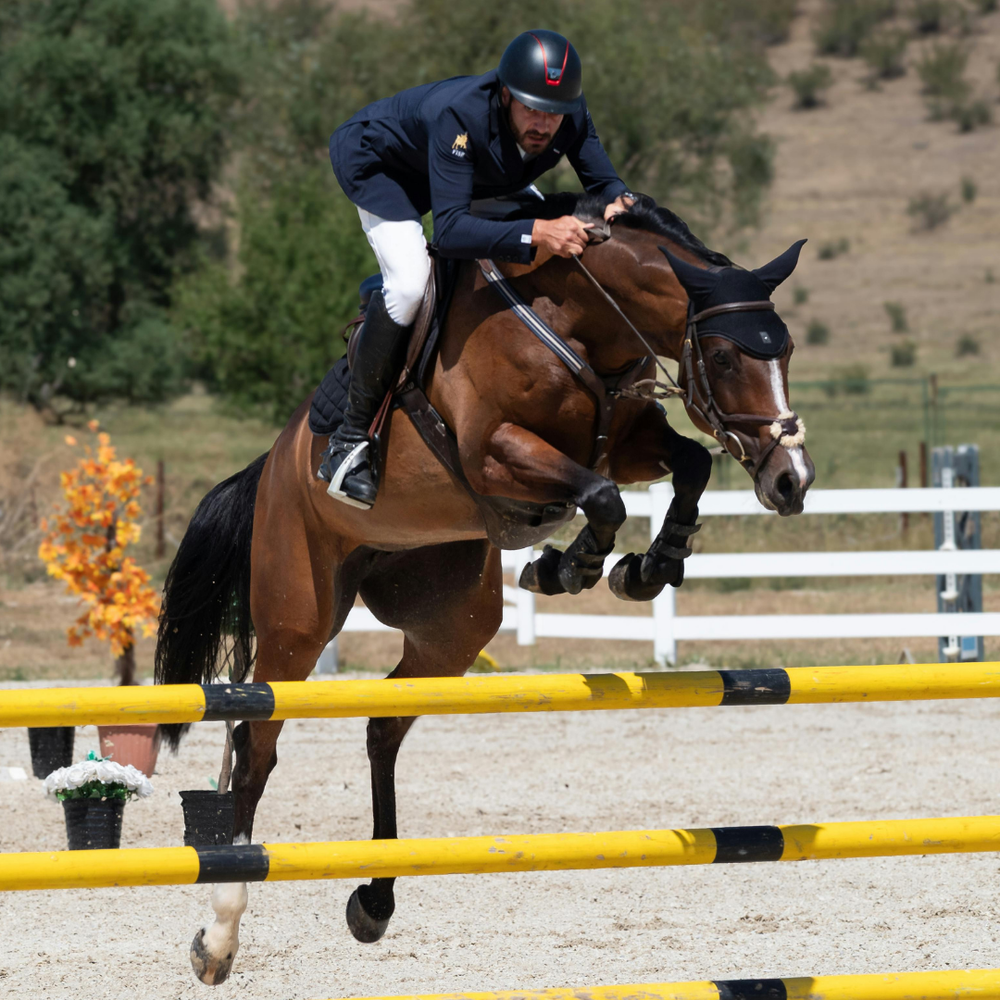 ESGD & EGGD beim Pferd: Unterschiede, Ursachen, Behandlung