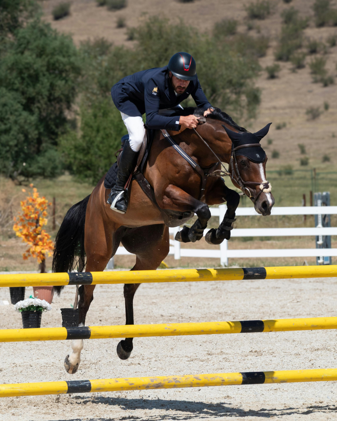 ESGD & EGGD beim Pferd: Unterschiede, Ursachen, Behandlung