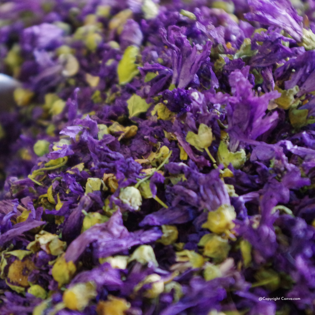 Malvenblüten in Arzneibuchqualität