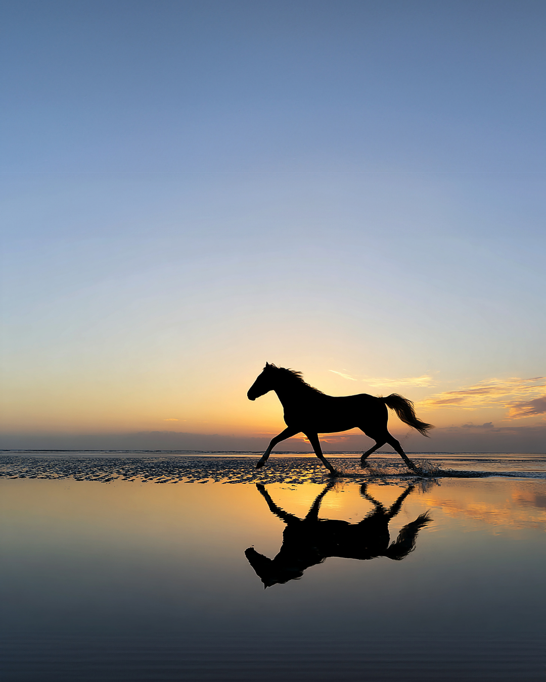 Pferd trabt am Strand