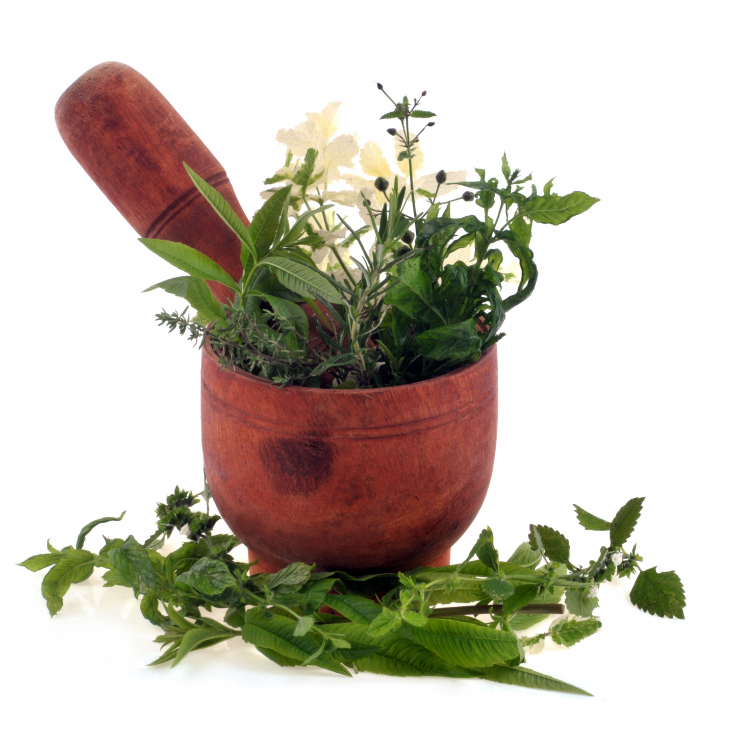 Mörser  mit frischen Kräutern