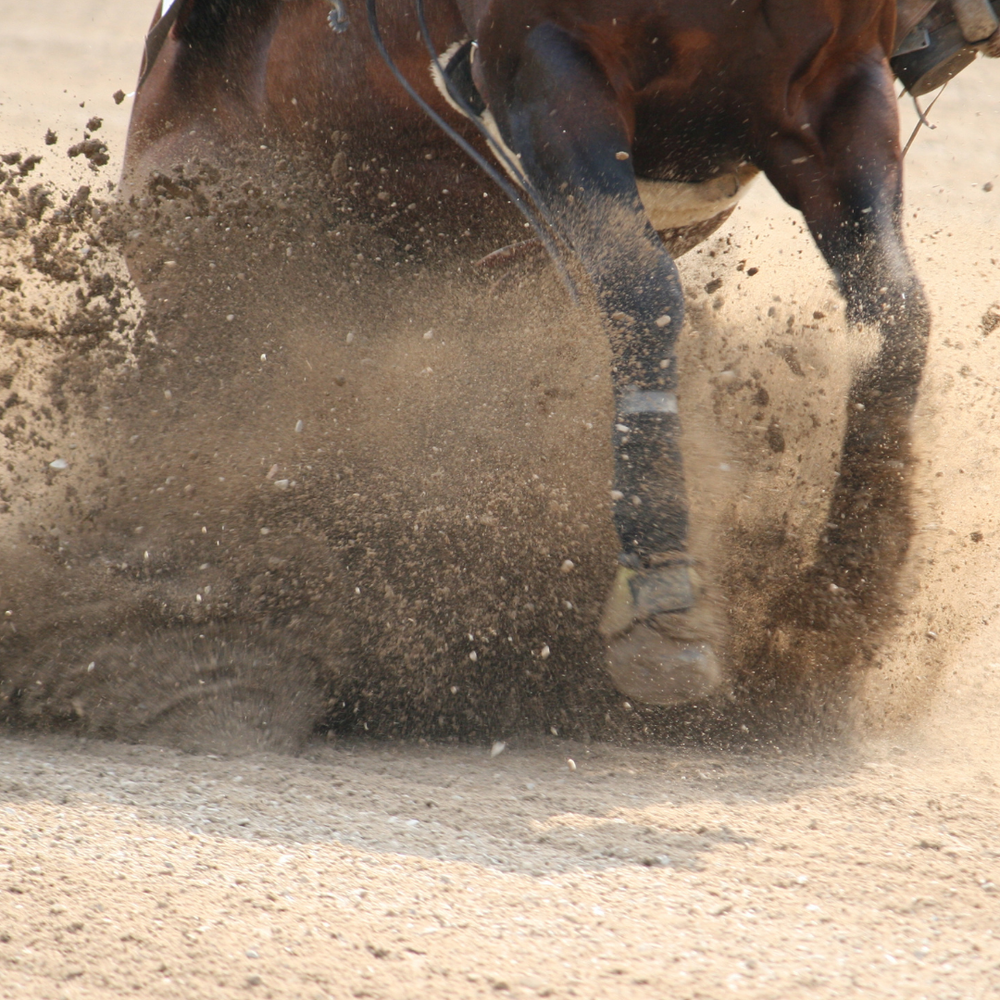 Alles über Spat: Die häufigste Arthrose beim Pferd verstehen und richtig managen