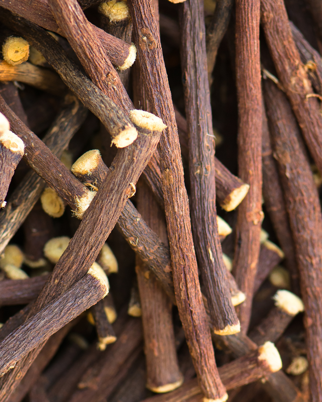 Süßholzwurzel Pferd: Wirkung, Dosierung & Anwendung| Ratgeber