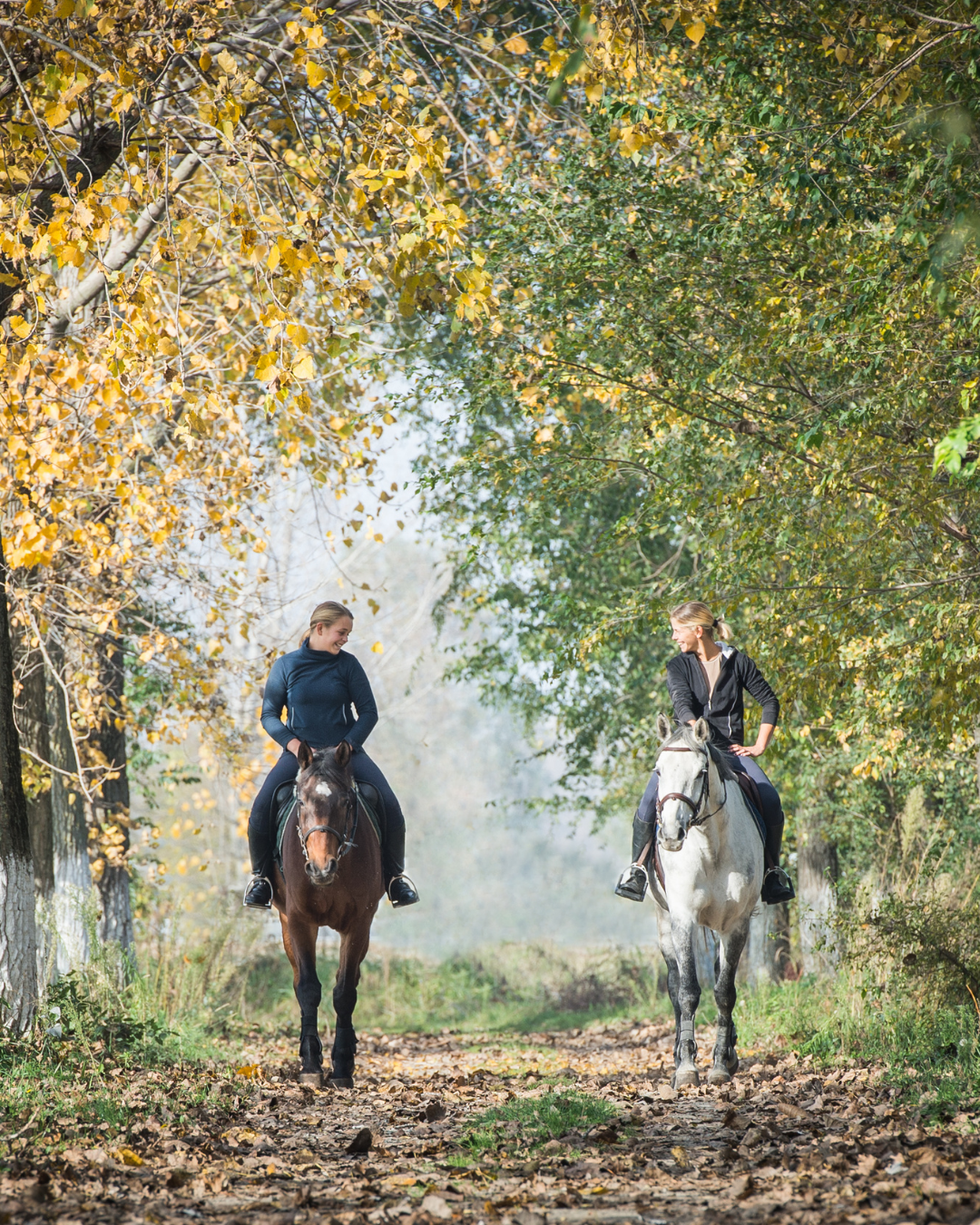 2 Frauen reiten im Wald