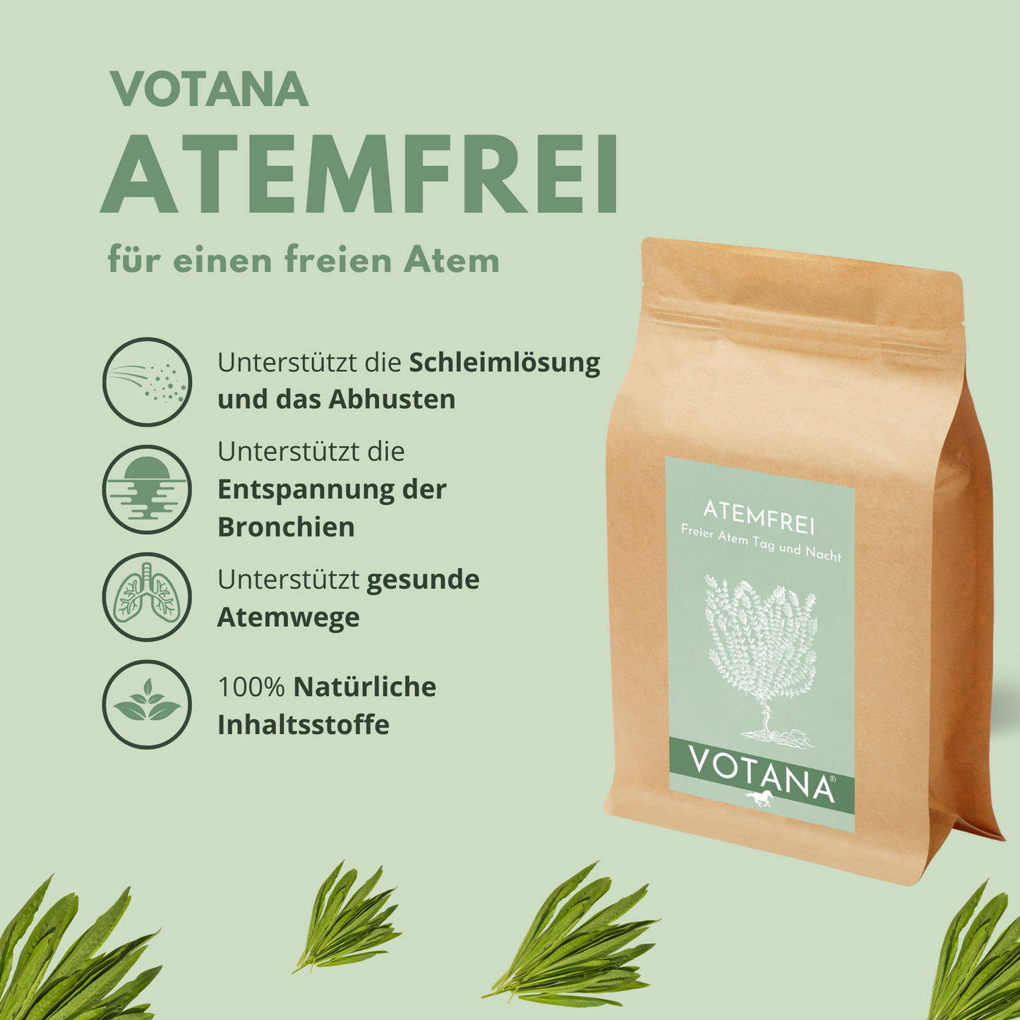 
                  
                    Atemwege Pferd Kräuter
                  
                