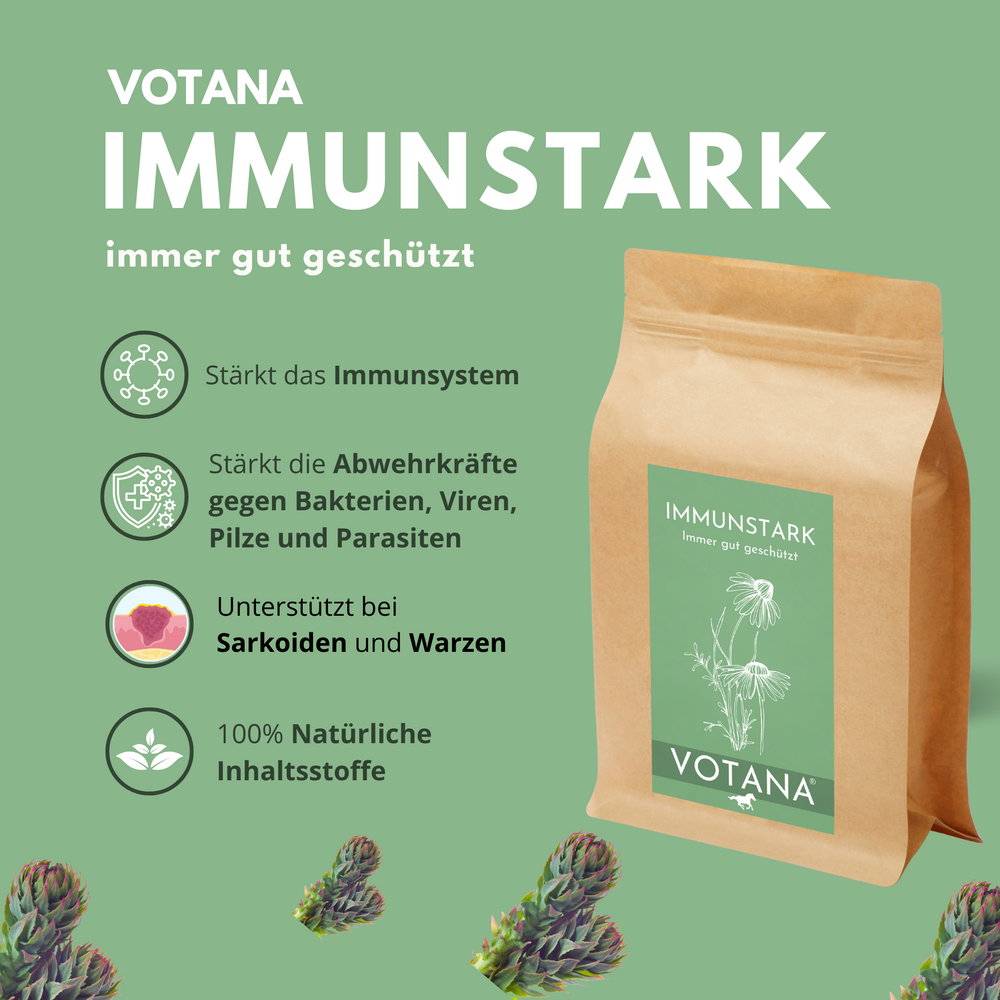 
                  
                    Immunsystem Pferd Kräuter
                  
                