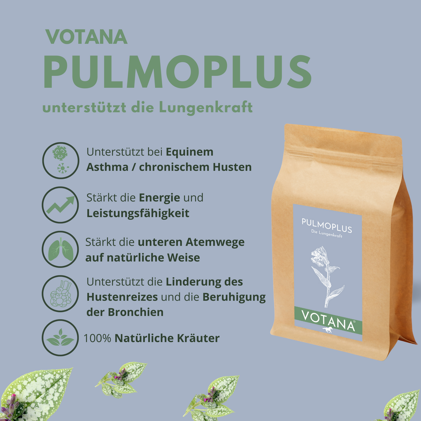 
                  
                    Equines Asthma Pferd Kräuter
                  
                
