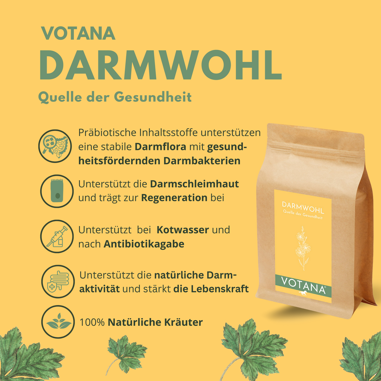 
                  
                    Darm Pferd Kräuter Anweiden
                  
                