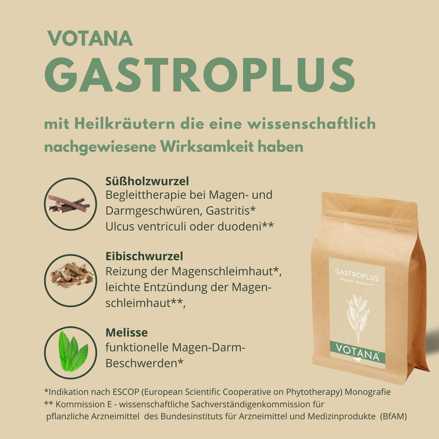 
                  
                    Magengeschwür Pferd Kräuter
                  
                