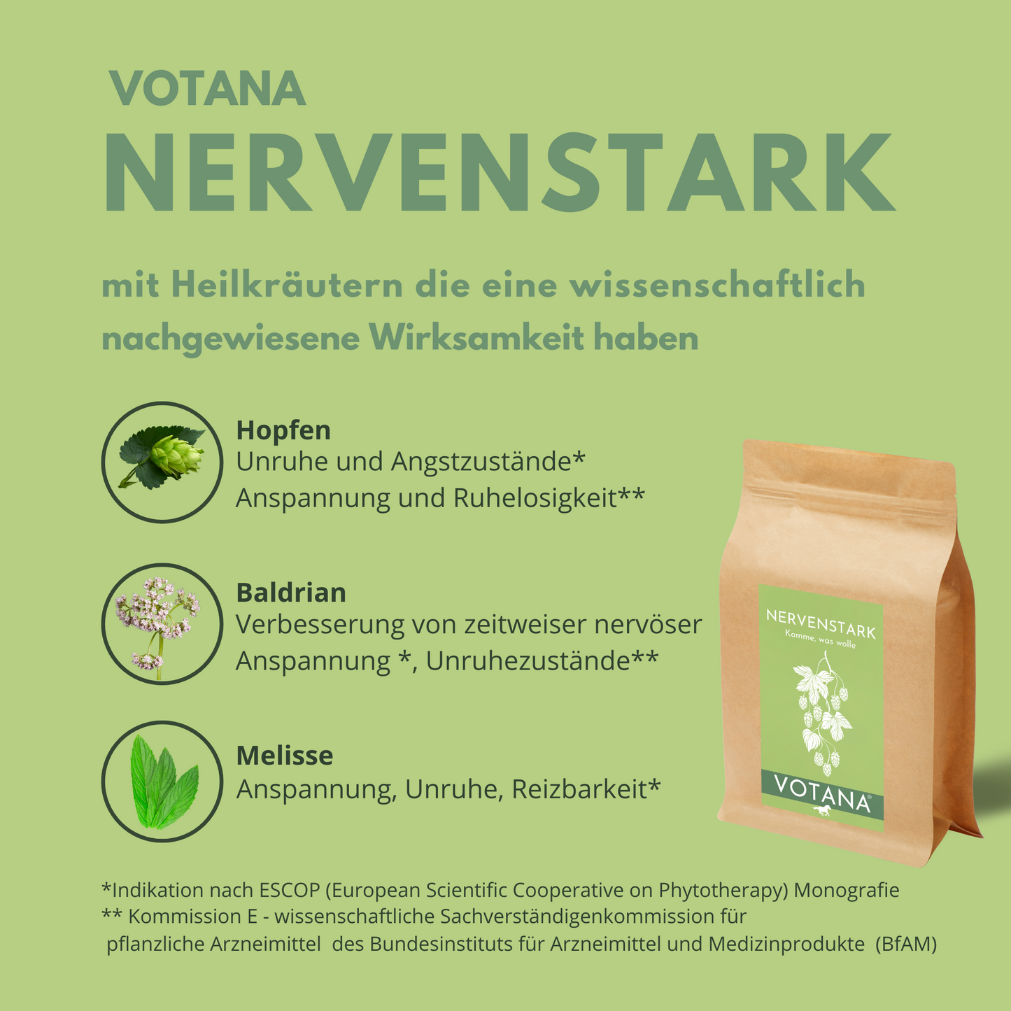 
                  
                    Nerven Pferd Kräuter
                  
                