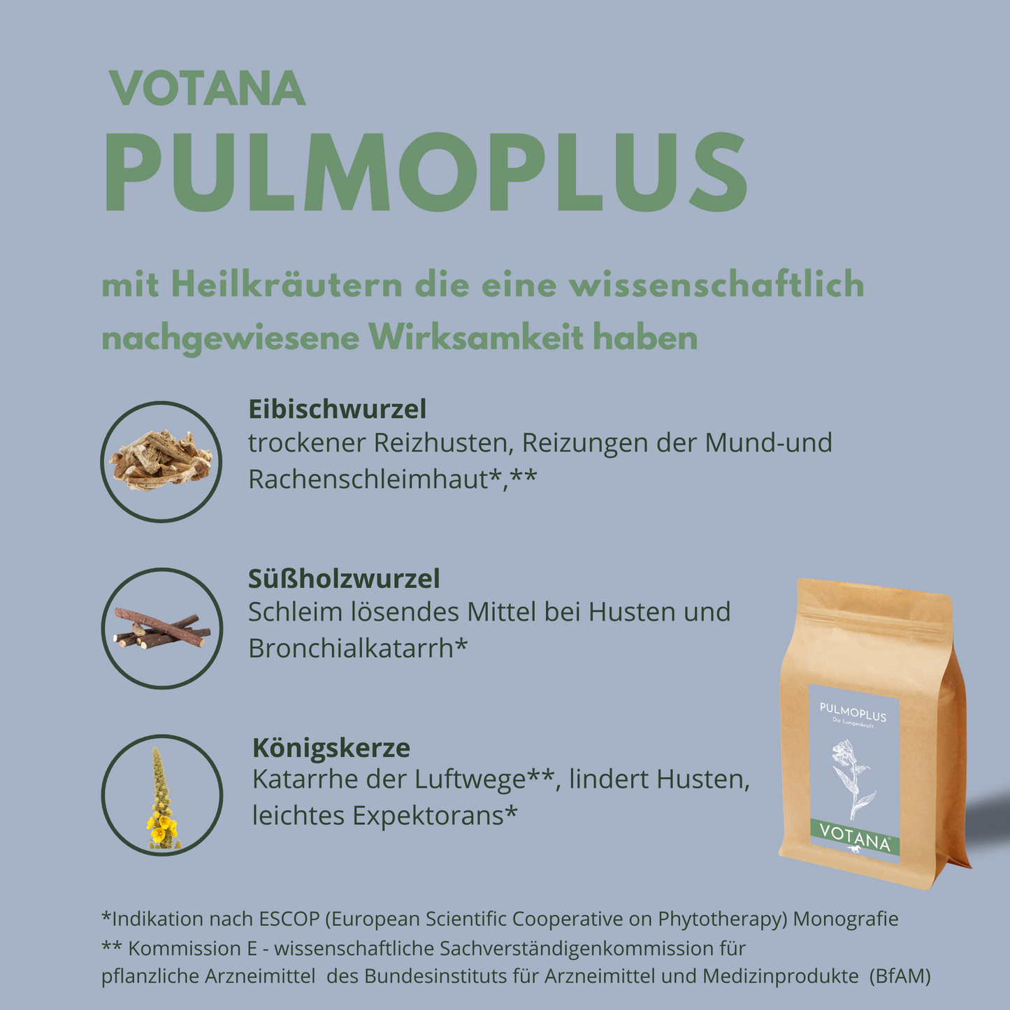 
                  
                    Chronischer Husten Pferd Kräuter
                  
                