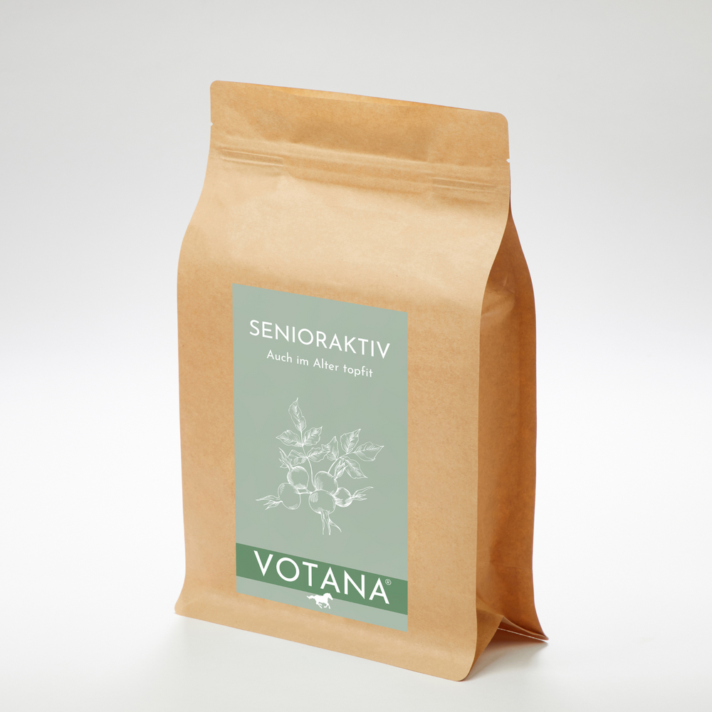 SENIORAKTIV