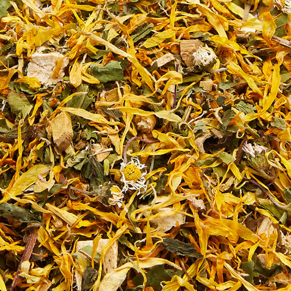 
                  
                    Detailaufnahme der Kräutermischung GASTROPLUS mit sichtbarer Ringelblume, Gänseblümchen, Melisse, Eibisch und Süßholzwurzel
                  
                