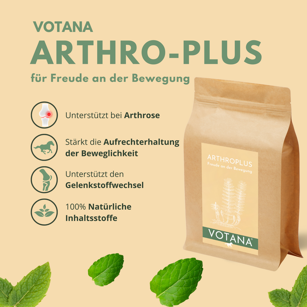 
                  
                    Icons, die die Vorteile von ARTHRO-PLUS symbolisieren: natürliche Unterstützung bei Arthrose, Aufrechterhaltung der Beweglichkeit, unterstützt den Gelenkstoffwechsel
                  
                