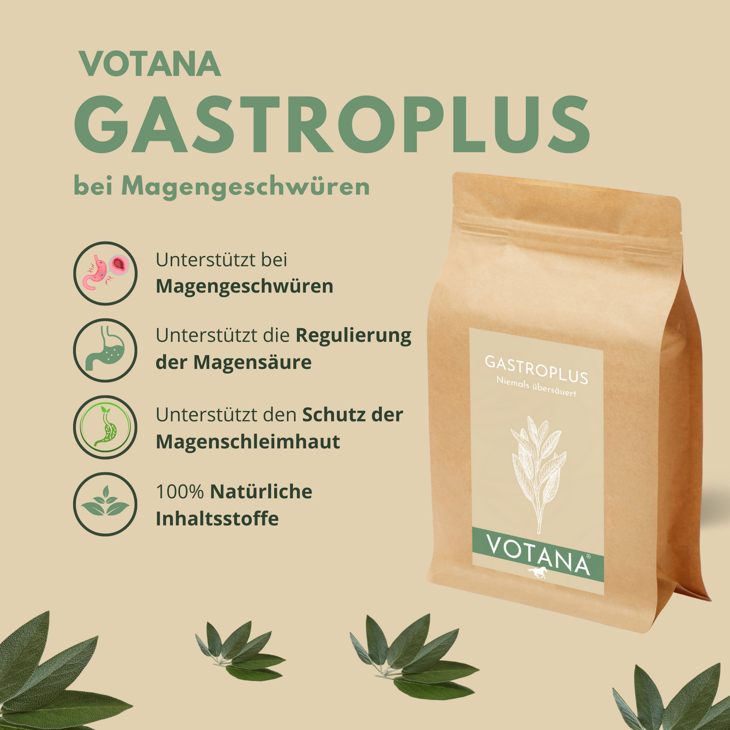 
                  
                    Icons, die die Vorteile von GASTROPLUS symbolisieren: unterstütz bei Magengeschwüren, unterstützt die Regulierung der Magensäure, unterstützt den Schutz der Magenschleimhaut, 100% natürliche Inhaltsstoffe
                  
                