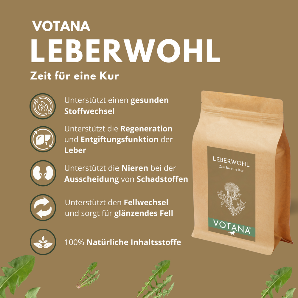 
                  
                    icons mit den Vorteilen von LEBERWOHL: unterstützt einen gesunden Stoffwechsel, unterstützt die Regeneration und Entgiftungsfunktion der Leber, unterstützt die Nieren bei der Ausscheidung von Schadstoffen, unterstützt den Fellwechsel, sorgt für glänzendes Fell, 100% natürliche Inhaltsstoffe
                  
                